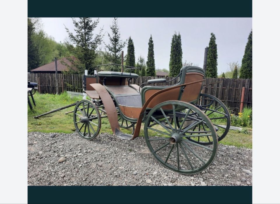 Trasura , atelaj, epoca , cai , echitatie, calarie