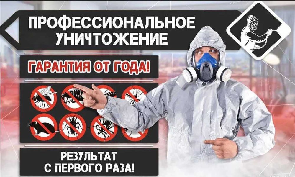 Скидки уничтожение гризунов и насекомых гарантия 100% дизинфекция dizi