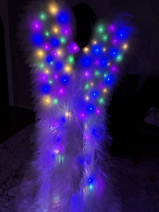 Сдаю крылья в прокат, 7000 за одну носку