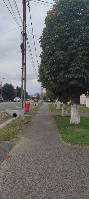 Închiriere spațiu comercial