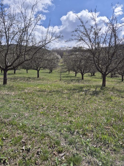 Teren extravilan zona de deal, 12 ha