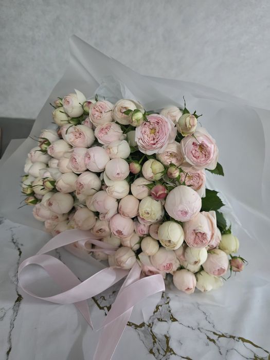 Цветы пион реальный цена 45к