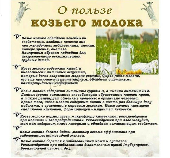 Ешкі сүті (козье молоко)