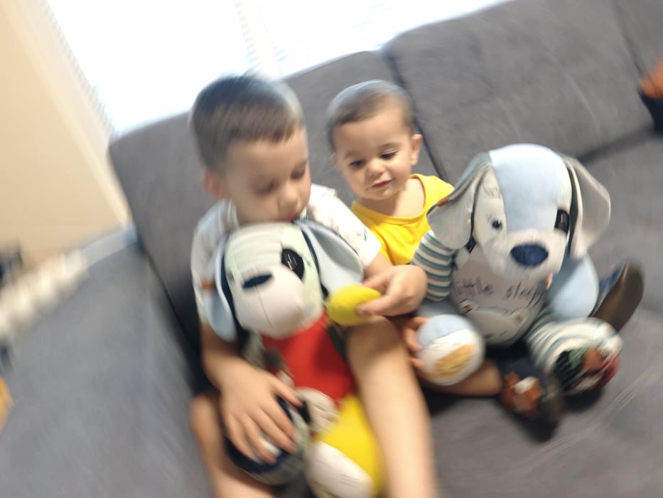 Играчка за спомен
