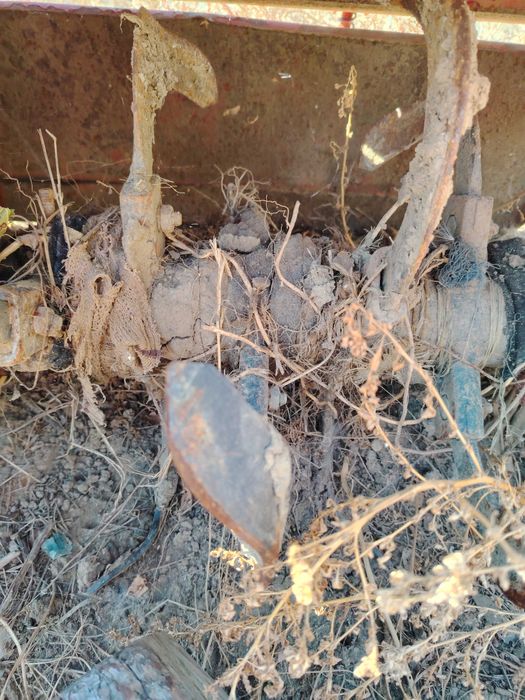 Владимировец Т25