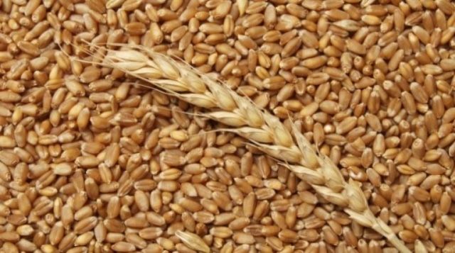 Продам Пшеницу бидай мешками тонной тонна