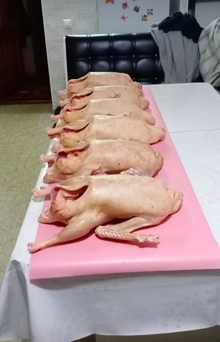Продам тушки домашних гусей. Гуся. Гусь. Гуси.