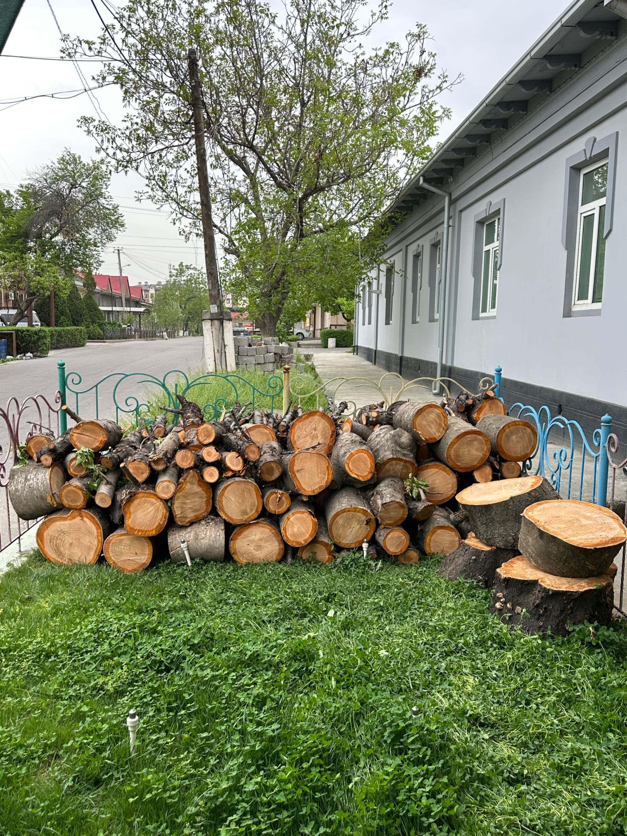 Древесины для декоративный ландшафт