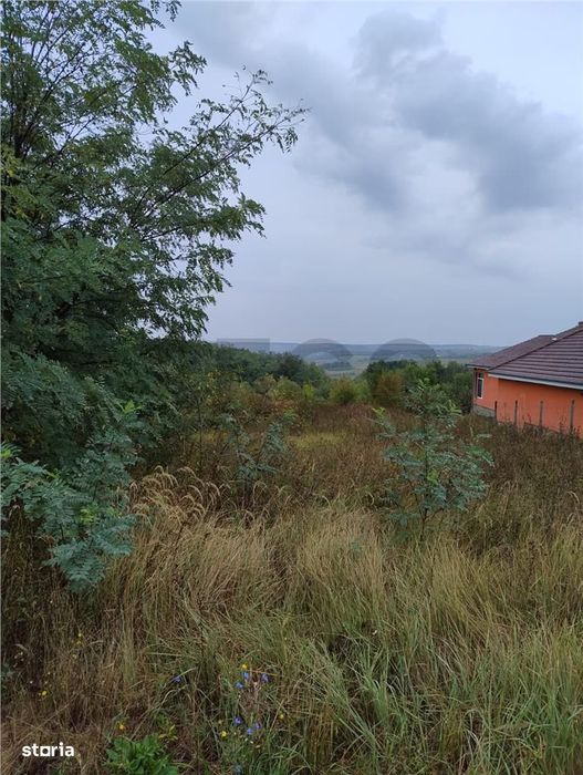 RECO Teren intravilan Lazareni