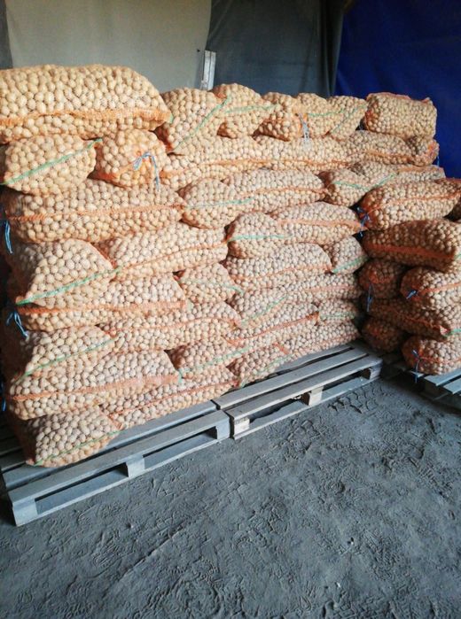 Cartofi animale /samanta