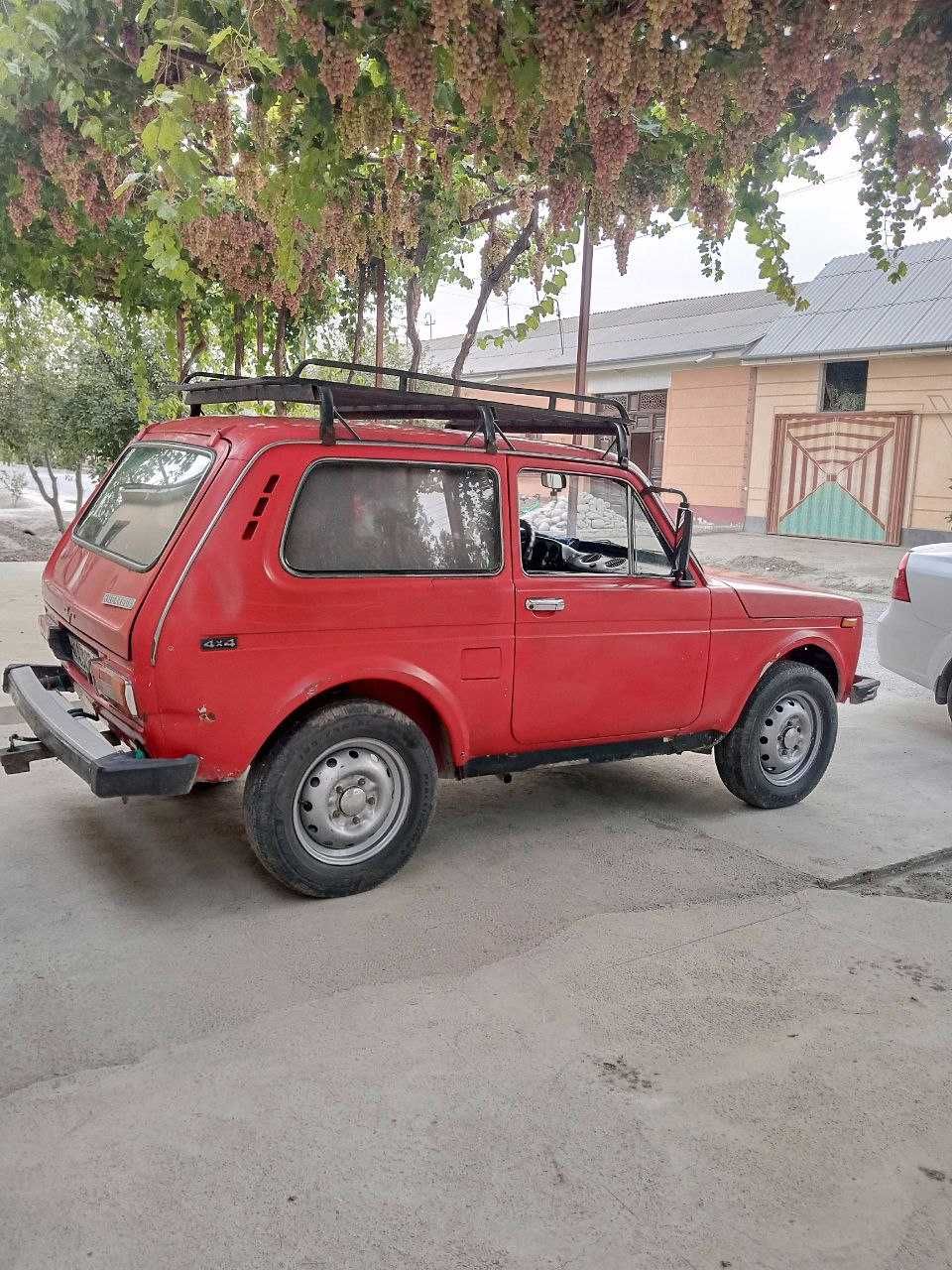 Niva    sotiladi