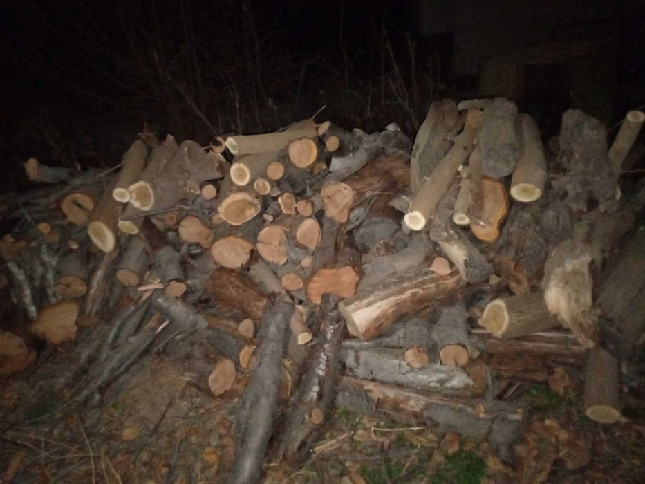 Дрова у́тин тайёр кесилан