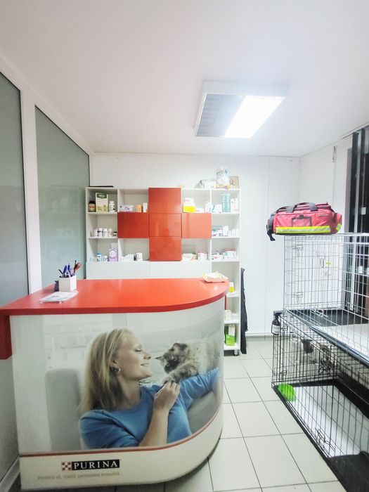 Cabinet veterinar Bucuresti sect 3 Bulevardul 1 Decembrie 1918 nr 3 g