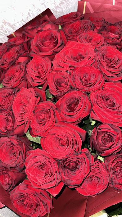 Букет роз 51штук