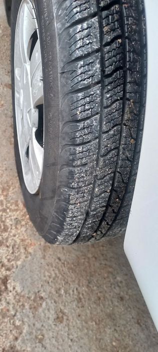 DAMAS LABO 2019 Kraska toza