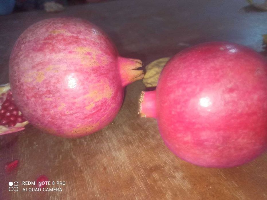 Ширин Анор меваси сотилади