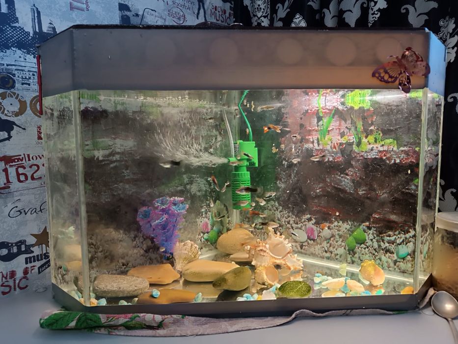 Продам аквариум 50 литров