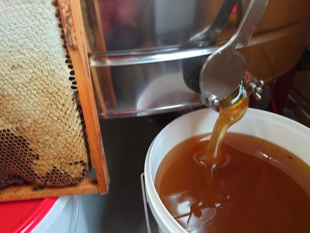 Мёд со своей пасеки.