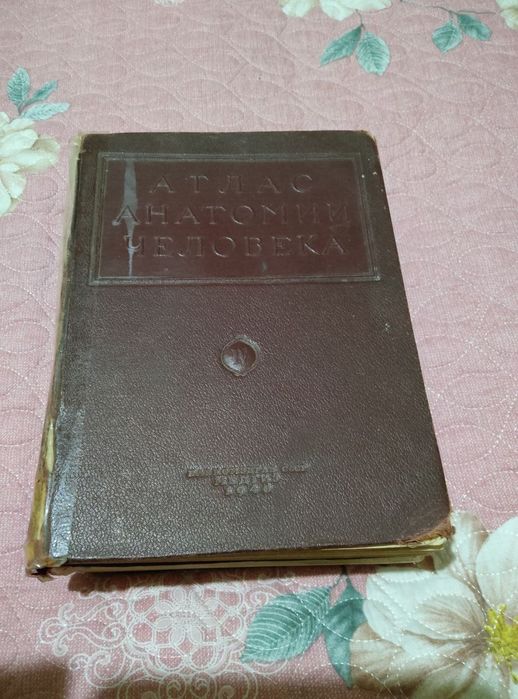 Атлас анатомии человека.Синельников.Воробьев.