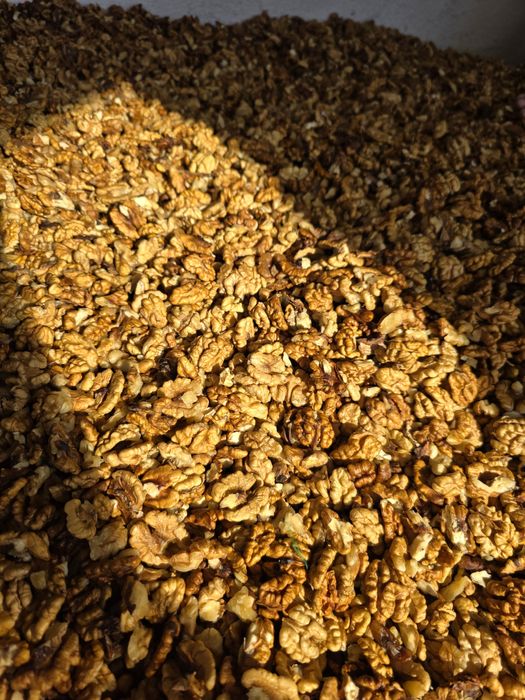 Miez de nuca proaspăt de anul acesta