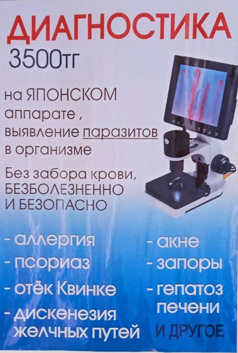 Диагностика организма на наличие паразитов.