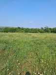 Vand teren intravilan 9200 com.Goiesti sat Adincata
