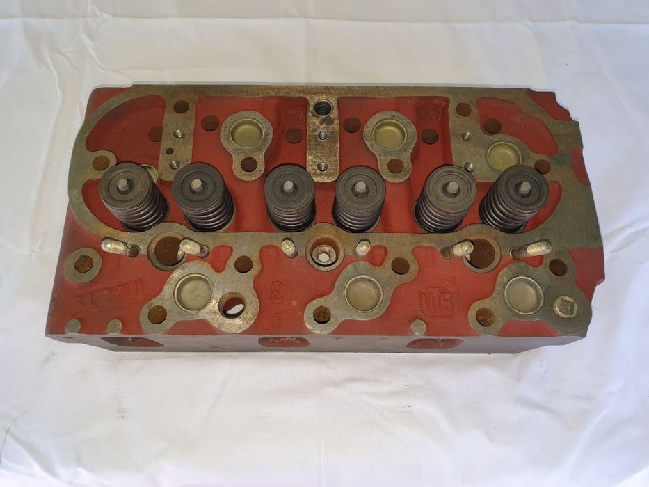 Chiuloasa asamblata U445