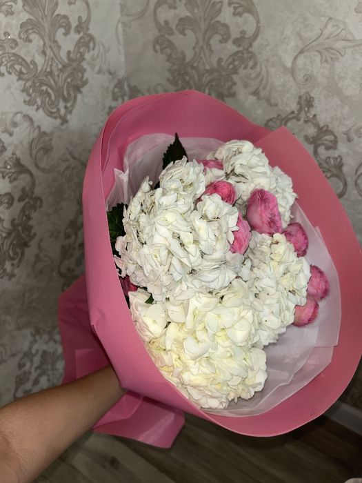 Цветы караганда