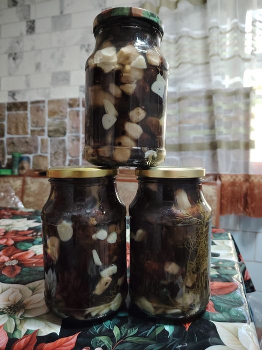 Продам грибы осенние