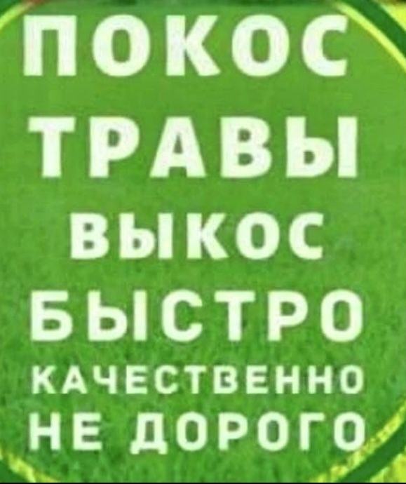 Уборка Территории/Покос травы/Спил деревьев/Вывоз мусора/Разнорабочие