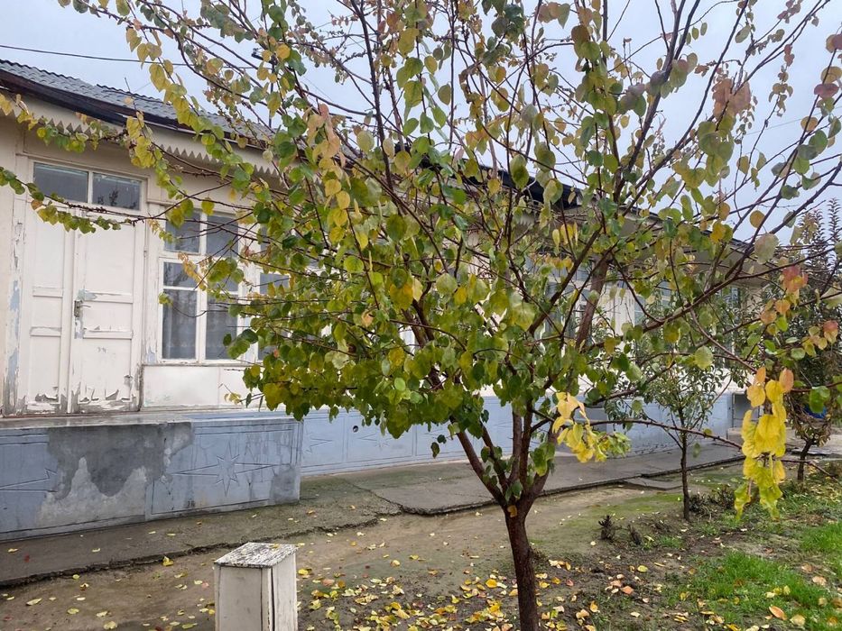 Choshtepa mahalada uchastka yer narxida