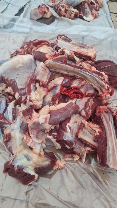 Продам говядину по 3200 за кг. Есть доставка до дома