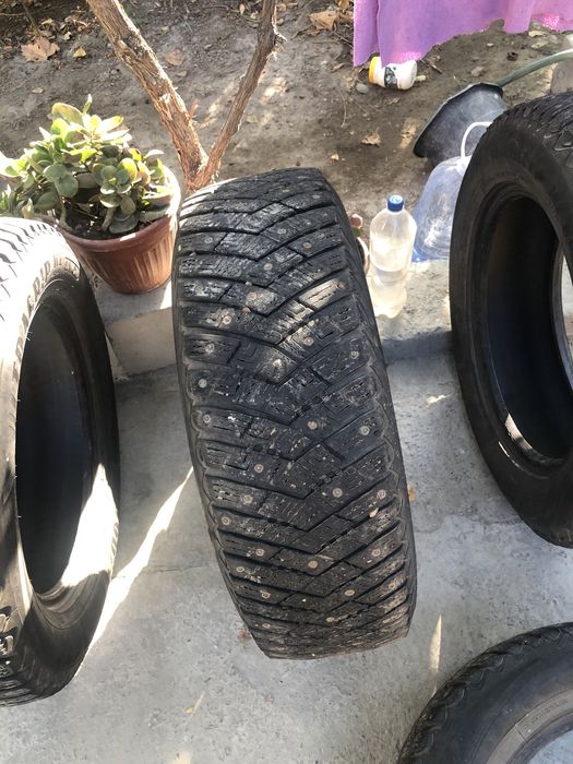 Қишки баллонлар  трекер киа карнивал ва бошқа