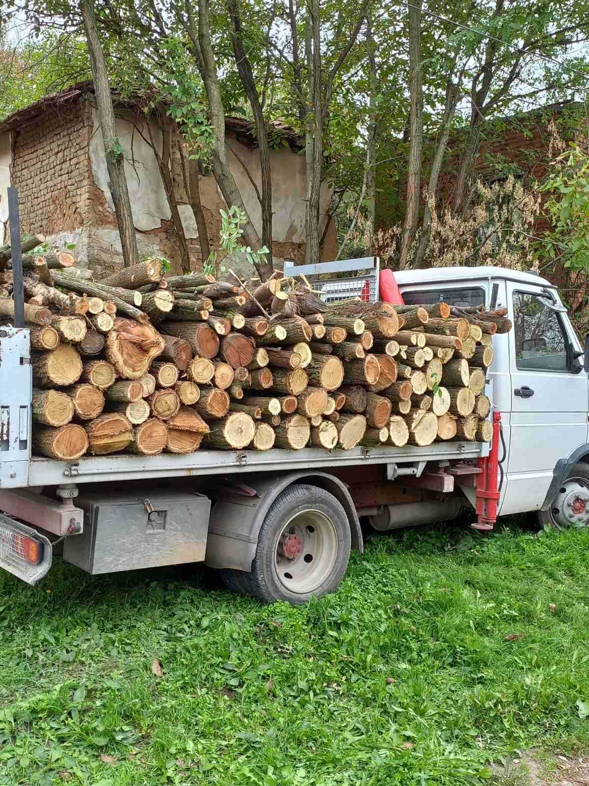 Услуги със Самосвал, Челен товарач, Багер