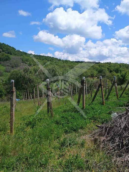 Продава се Къща в с. Белила, Област Бургас - 40 кв.м за 281 €/кв.м - Снимка #2