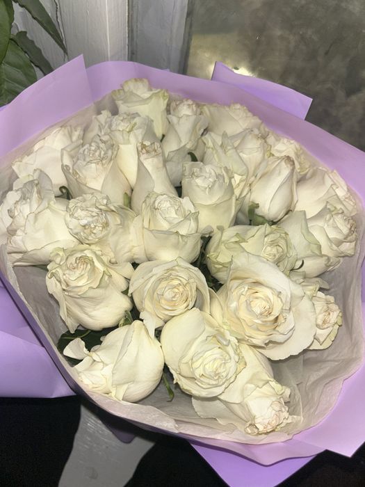 Белые розя,красивые