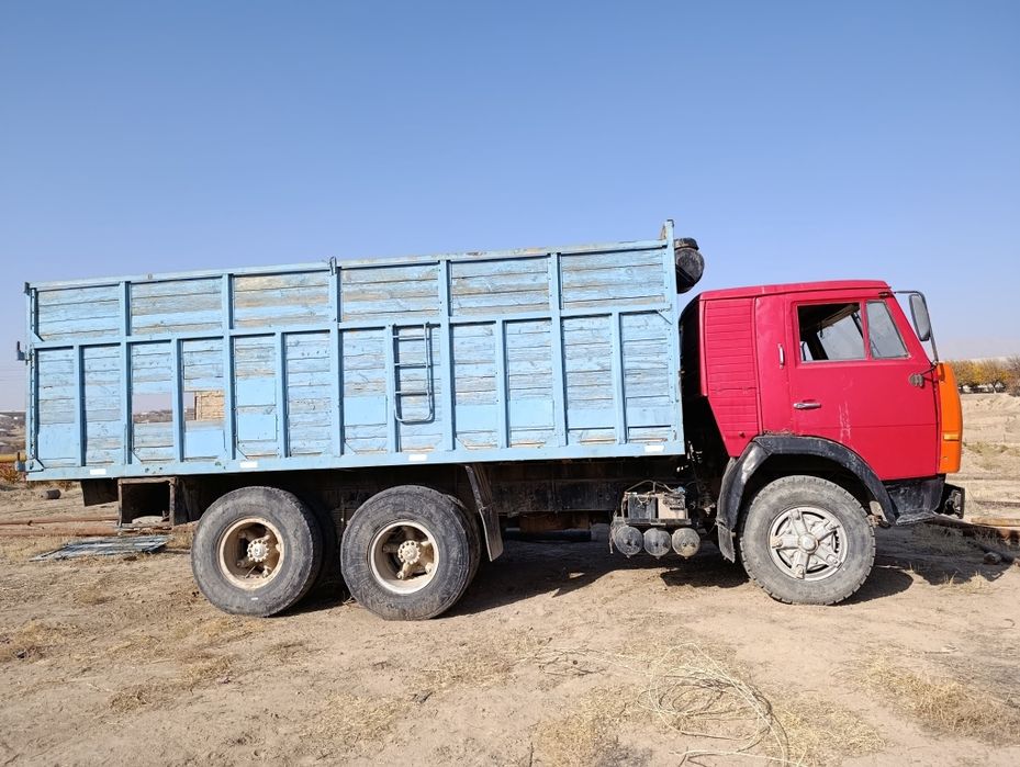Kamaz boʻrtavoy ,