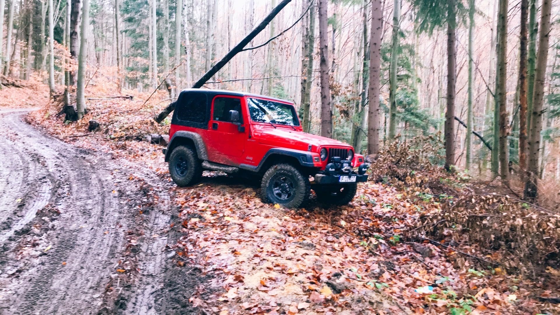 Jeep Wrangler TJ 2.4 L, Benzina