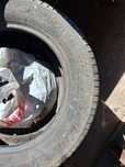 Cauciucuri vara 205/60 r16