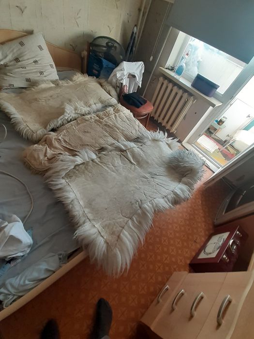 Продам козлиные шкуры