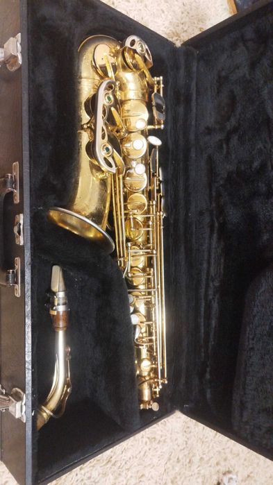 Saxofon alto, marca parrot !