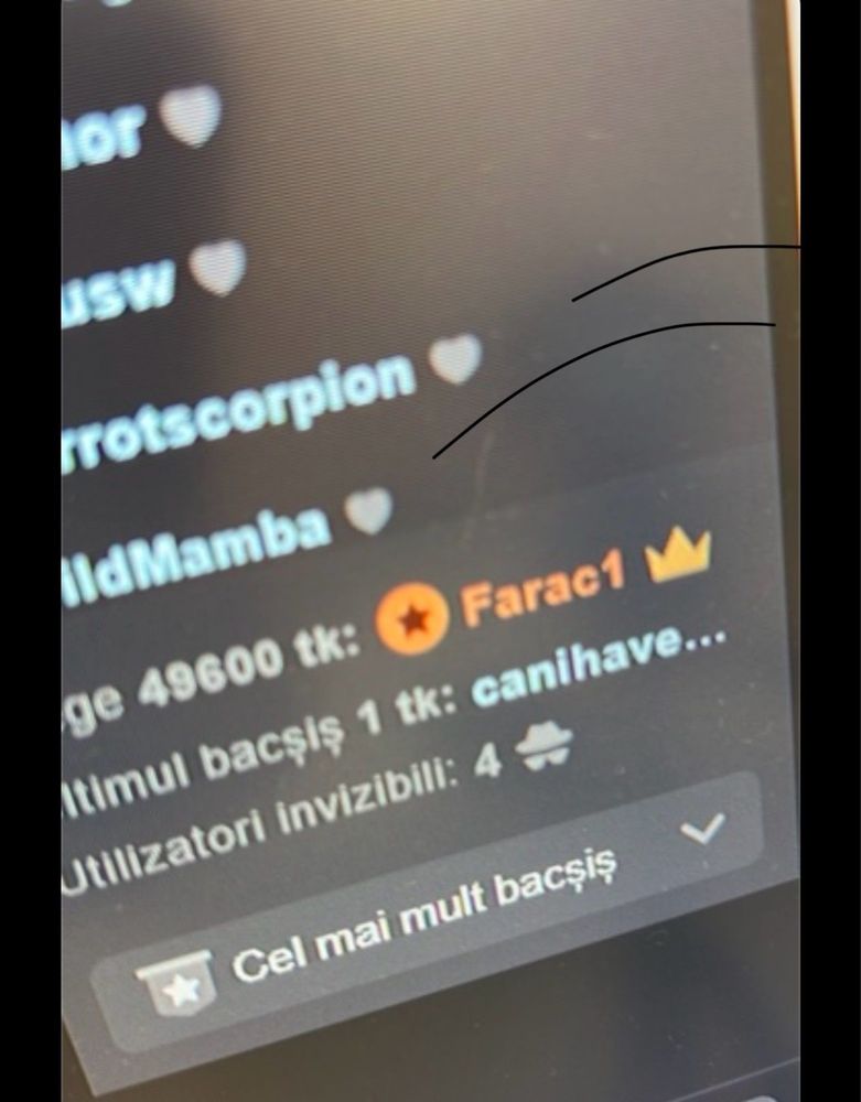 Promovare pagina videochat modele independente