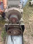 snec cereale sau furaj minim 18m