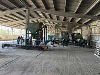 Selector cereale industrial