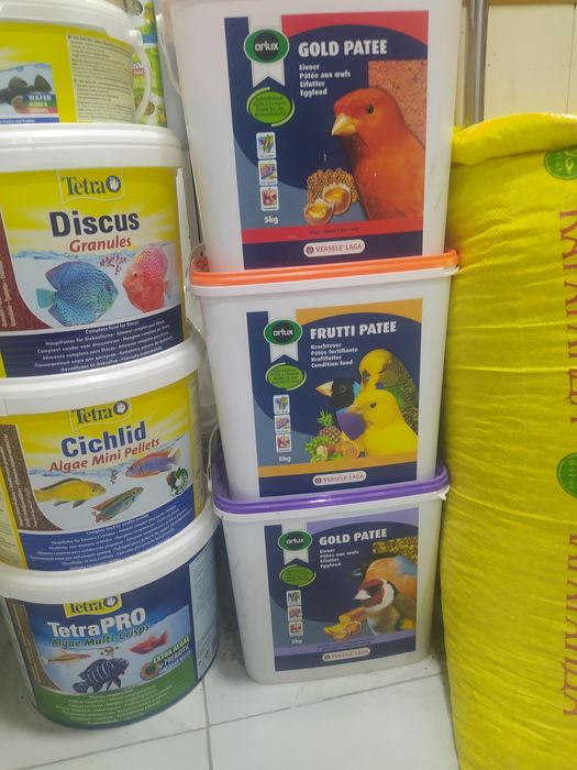 Каптарлар ва барча кушлар учун