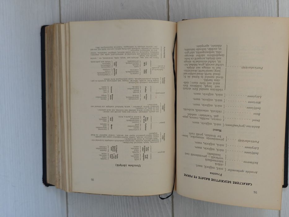 Manual tehnic de medicină legala, Nicolae Minovici, 1904,RAR