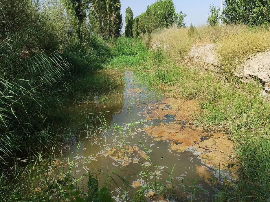 Урдак, куй,куён, бокиш учун