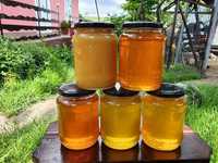 Vând miere de albine 100% naturală.