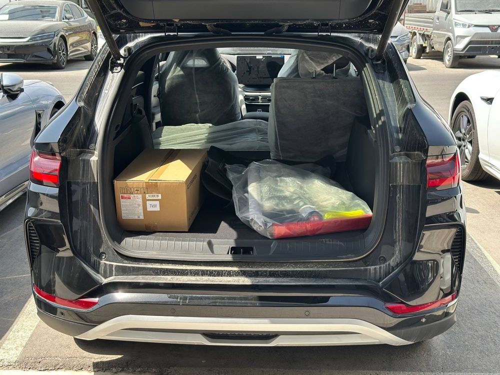 Byd chempion smart