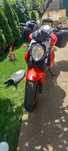 Suzuki SFV 650 Gladius